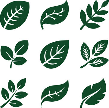 Leaves dark green vector set with various shapes and sizes, isolated on white background