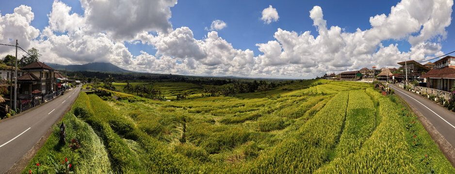 Panoramic view of Jatiluwih rice terraces with traditional villages and mountains under a blue sky in Bali, Indonesia