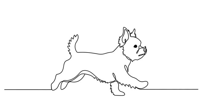 Continuous Line Drawing of a Playful Yorkshire Terrier Running