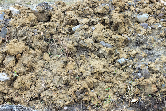 Textured mound of loose, cloddy dirt mixed with small stones and sparse grass, uneven terrain represents concepts involving agricultural soil health, geology, civil engineering, environmental science