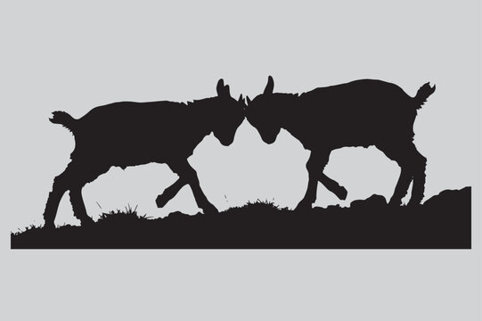 goats mountain headbutt practice silhouette vector design art and illustration