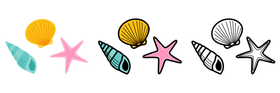 ポップでかわいい貝殻とヒトデのイラストセット
