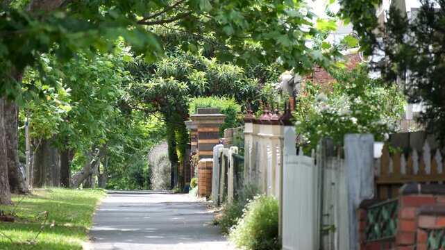 A quiet, leafy pedestrian footpath in the historic suburb of Kensington, Melbourne, lined with front yard boundaries, featuring a mix of vintage timber picket fences.