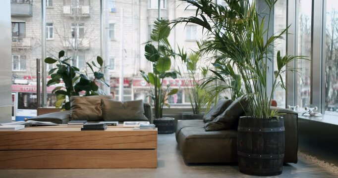 Modern board shop interior with comfortable seating, large windows, and lush plants. Perfect for showcasing urban lifestyle or retail environments.