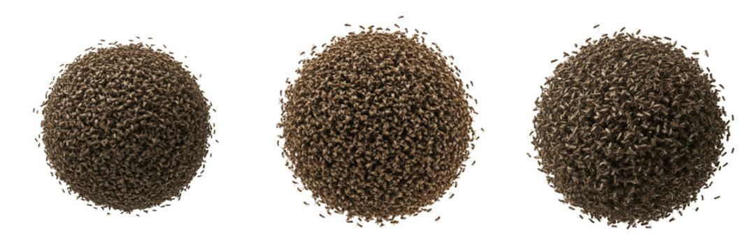 Swarm of insects forming wave motion, Culicidae family, mosquito undulating flight trajectory corridor, air currents laminar interaction lines, synchronous group transit tracking profile index