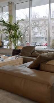 Modern Living Room Interior with Comfortable Leather Sofa, Wooden Table, Magazines, and a Large Potted Plant by the Window. perfect for interior design or lifestyle projects.