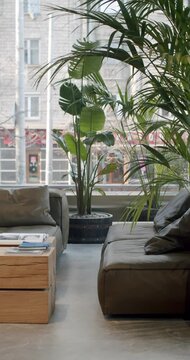 Modern office lobby interior with leather furniture, wooden details and lush green plants in the background. Natural light fills the room, creating a calm and inviting atmosphere.