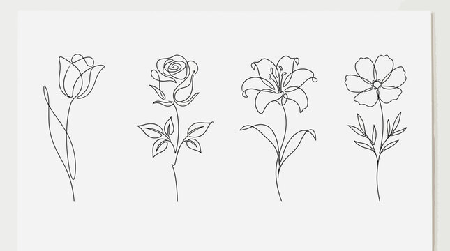 Minimalist single line drawings of four different types of flowers including a tulip, rose, lily, and daisy on a white background