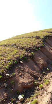 Seeded slope stabilized with erosion control mats, seeded, mats