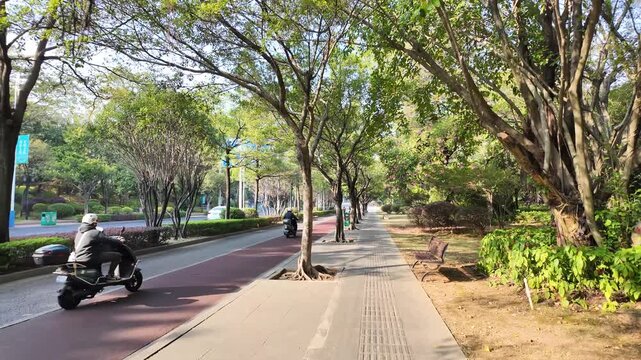 Shady tree-lined boulevard with dedicated bike and sidewalk in Liuzhou, China. Urban road showing segregated urban paths for cars, cyclists, and pedestrians. Urban design and public infrastructure 