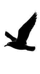 Obraz premium Black silhouette of a soaring eagle against white background.