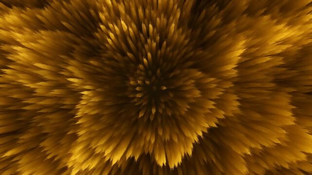 Golden Gradient Wave Ripple Overhead Cinematic Loop Abstract Background