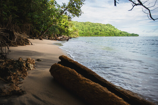 Pacific island rainforest meets the ocean 