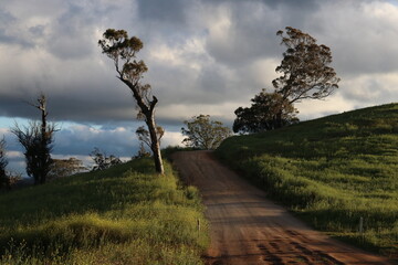 path in the park © R