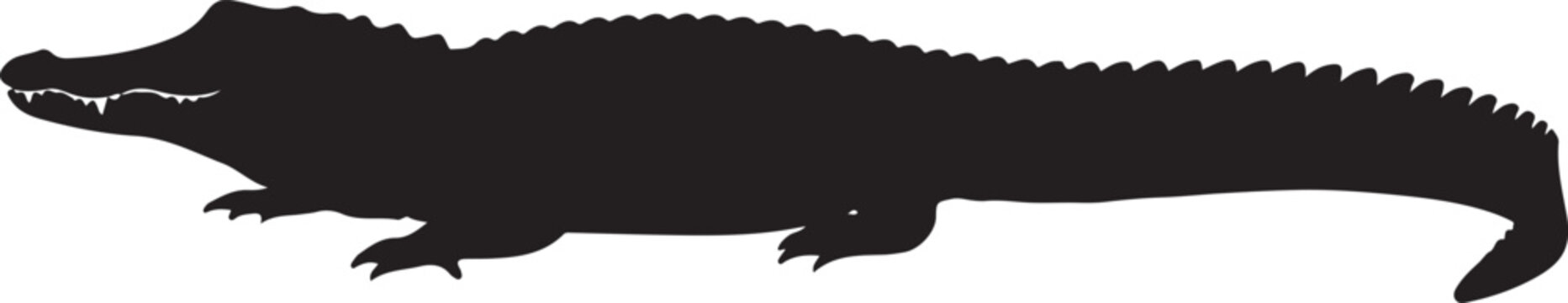 Silhouette of a crocodile on a white background, Generative Ai