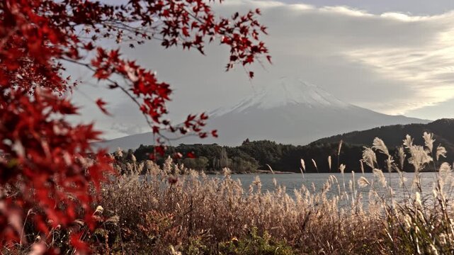 Stunning autumn landscape of Mount Fuji with snow cap at Lake Kawaguchiko in Japan framed by beautiful red autumn leaves