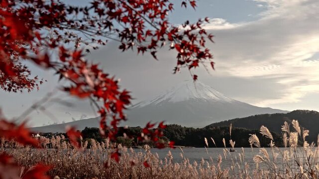 Gorgeous autumn landscape of Mount Fuji with snow cap visible next to vibrant red maple leaves (Momiji) at Lake Kawaguchiko in Japan