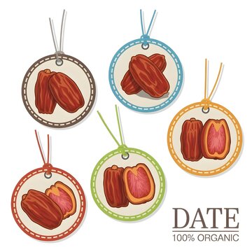 Illustration of organic date fruit labels with colorful borders and strings designed for packaging nutrition and cultural presentation