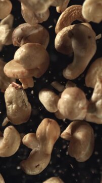 Cashews fly up and down. Filmed on a high-speed camera at 1000 fps. High quality FullHD footage