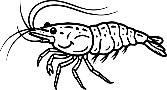 vector illustration of a cartoon crab