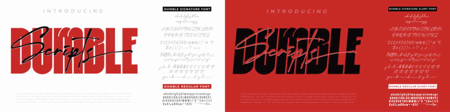 Introducing domble font styles with alphabet examples