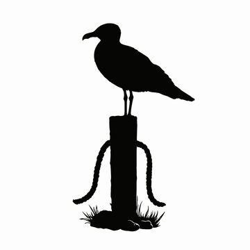  Coastal Bird Perched on Wooden Post Silhouette Vector Illustration
