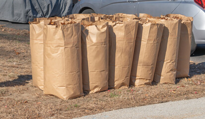 fallen leaves collected in recycle paper bags in autumn © nd700
