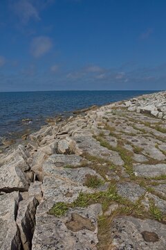 Rocky shoreline of Elda Pank (Elda cliff) in sunny summer weathe, Saaremaa, Estonia, Europe.