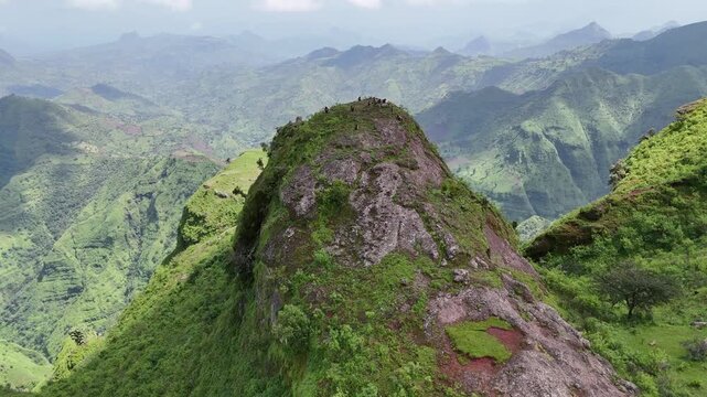 A wild gelada baboon sits on a steep green cliff in Simien Mountains National Park, Ethiopia. This breathtaking aerial view showcases the majestic highlands and unique African wildlife.