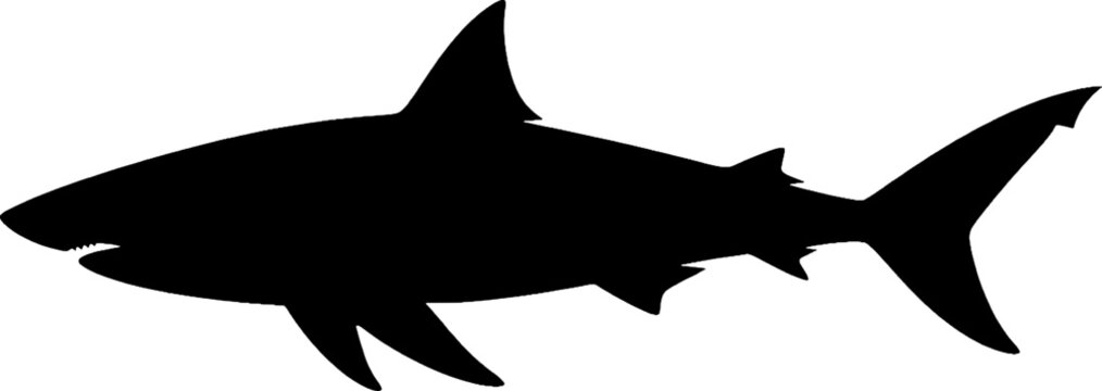 Shark Swimming Silhouette
