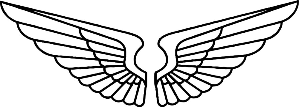 Symmetrical outspread wings with detailed feathers