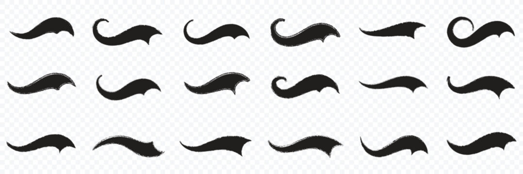 Swoosh and swash typography tails shape. Underline retro swoop wave line for athletic tshirt. Vector strockes set. decorative flourish elements in various elegant curved and wavy styles. eps 10