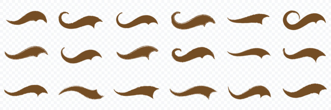 Swoosh and swash typography tails shape. Underline retro swoop wave line for athletic tshirt. Vector strockes set. decorative flourish elements in various elegant curved and wavy styles. eps 10