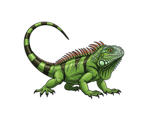 Fototapeta premium Green iguana with striped tail and spiny crest, reptile
