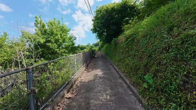 POV shot of moving forward on a narrow paved path covered with ivy and green trees