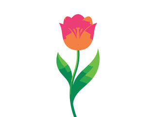 Fototapeta premium Colorful tulip flower icon, vibrant pink orange bloom, green leaves, floral symbol