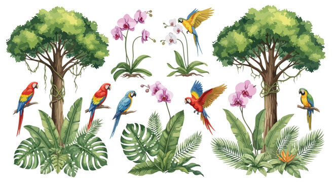 Tropical jungle watercolor vector set, exotic macaw parrots and orchid flowers, rainforest trees and monstera leaves collection for summer design