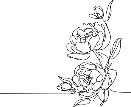 Continuous line drawing of peony flowers with leaves