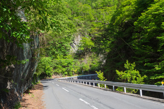 新緑の中津峡・県道210号・中津川三峰口停車場線・秩父市