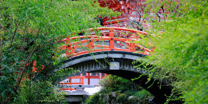 Red arched bridge with orange railing surrounded by green trees at Shinto shrine, Kyoto, Japan