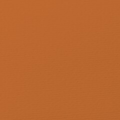 Fototapeta premium Brown textured background