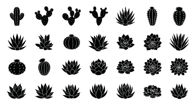 Desert Cactus & Succulent Silhouettes Collection: Vector Icons