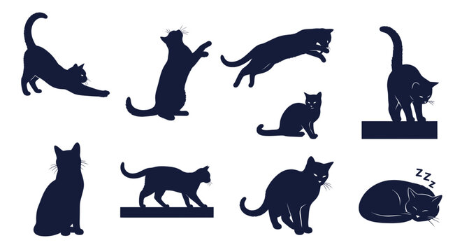 Set of Cat Silhouettes in Various Poses: Stretching, Playing, Jumping, Sleeping