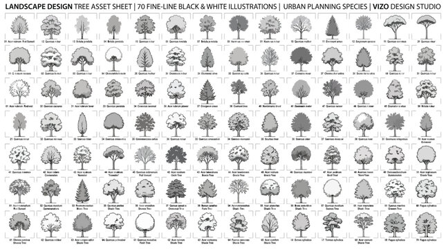 Landscape design tree asset sheet with 70 fineline black and white illustrations of urban planning species