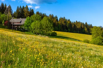 Typical farmhouse near Titisee in the Black Forest © Juergen Wiesler