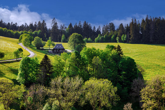 Abandoned farmhouse near Titisee in the Black Forest