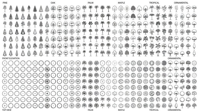 Set of various tree species in front elevation and top view for architectural landscape design