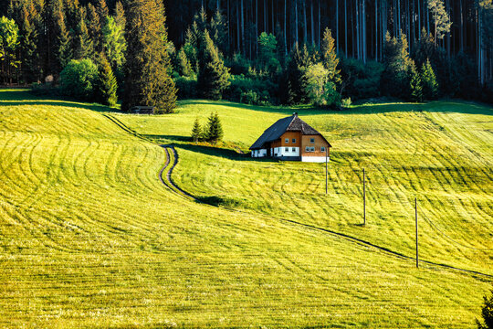 Abandoned farmhouse near Titisee in the Black Forest