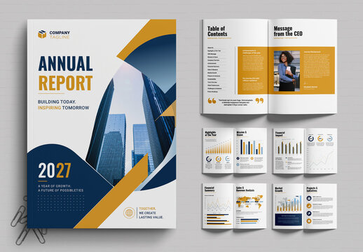 Professional Company Performance Report