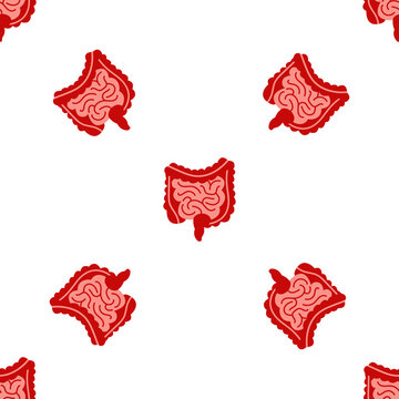 Seamless pattern of human intestines isolated on a transparent background for medical design